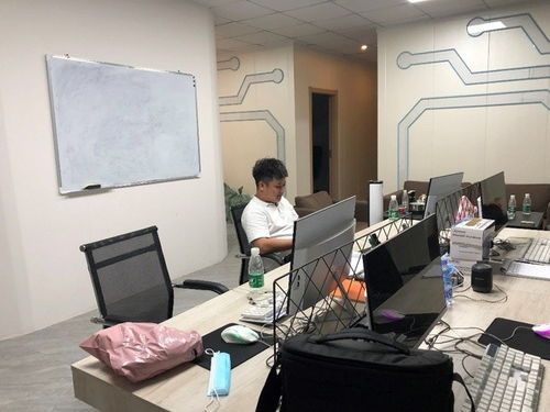 惠州市蓝谷科技助力经济复苏