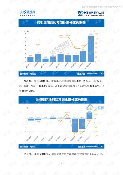 2019年新上市17家电子商务公司数据报告精品报告.pdf